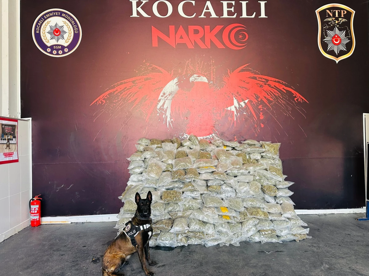 Kuzey Marmara Otoyolu’nda TIR’da 116 kilogram skunk ele geçirildi