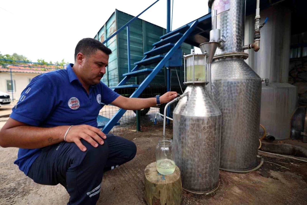 Muğla Büyükşehir Belediyesi Tıbbi Aromatik Bitkiler ve Yerel Tohum Merkezi ile Üreticiye Destek Veriyor