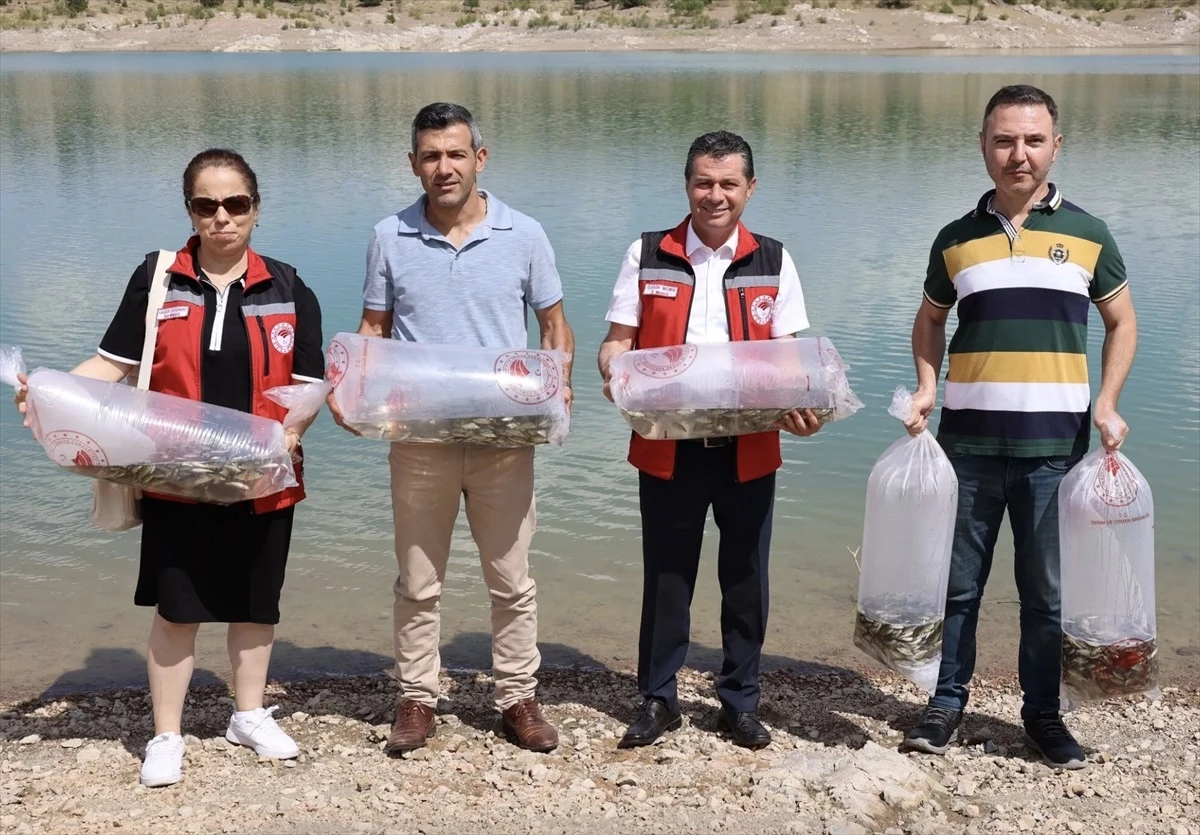 Nevşehir’deki baraj göletlerine 720 bin sazan yavrusu salındı