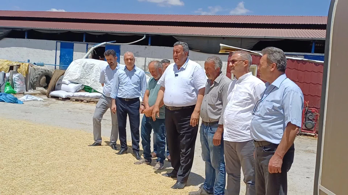 Niğde’de Arpa Üreticileri Sorunlarını Anlattı