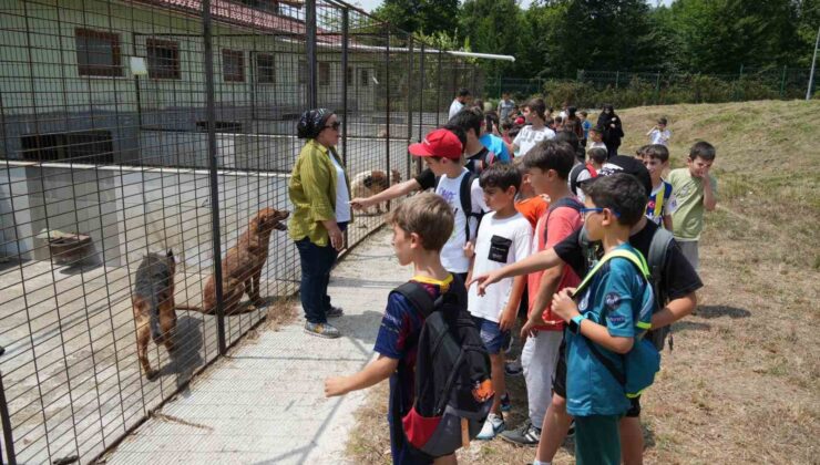 Öğrencilerden can dostlara ziyaret