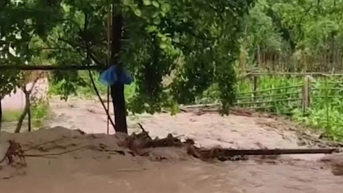 Artvin’de aşırı yağışlar tarım arazilerine ve köy yollarına zarar verdi