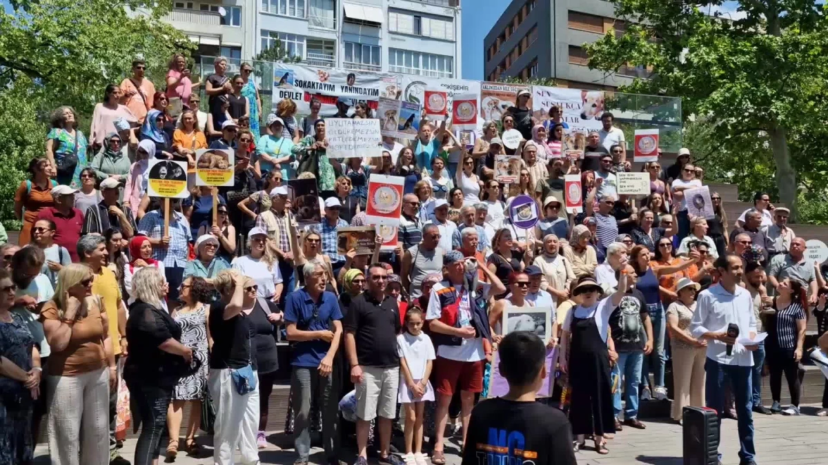 Sahipsiz Sokak Hayvanlarına Yönelik Ötenazi İçeren Kanun Teklifine Tepki