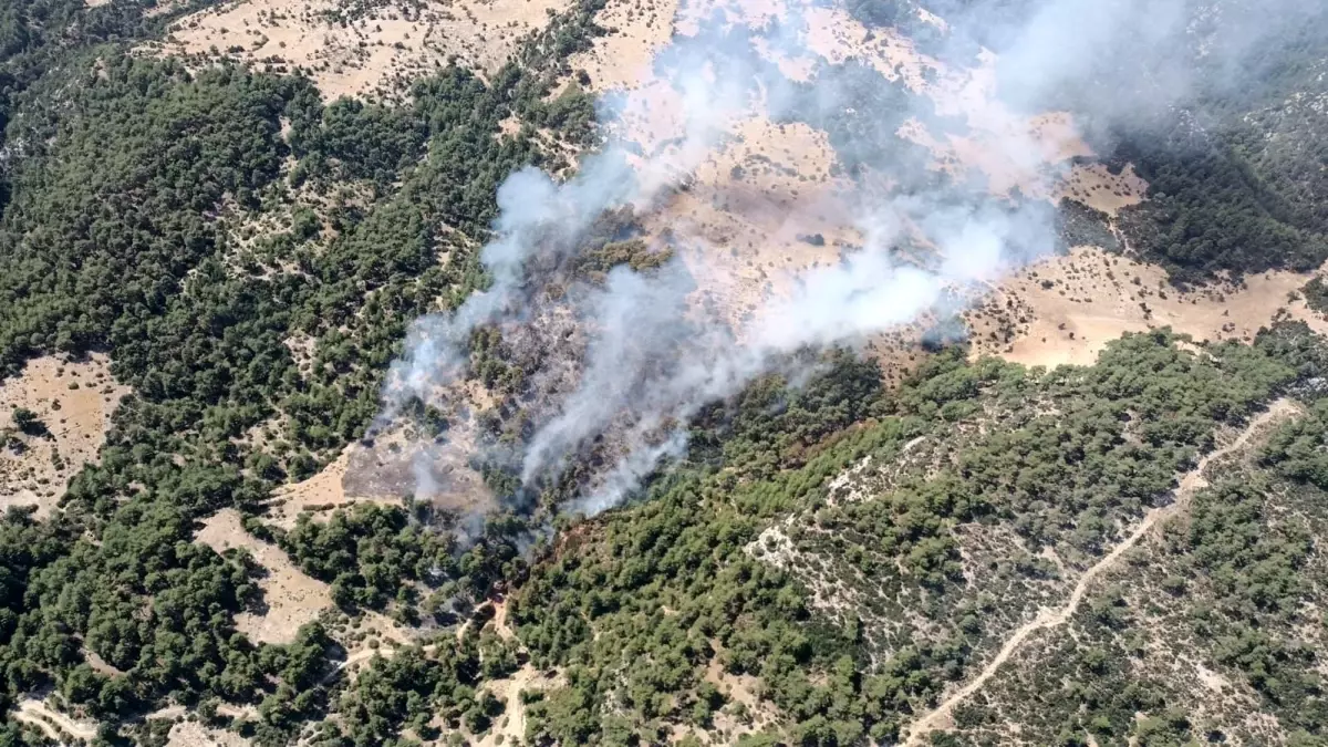 Kaş’ta Orman Yangını Kontrol Altında