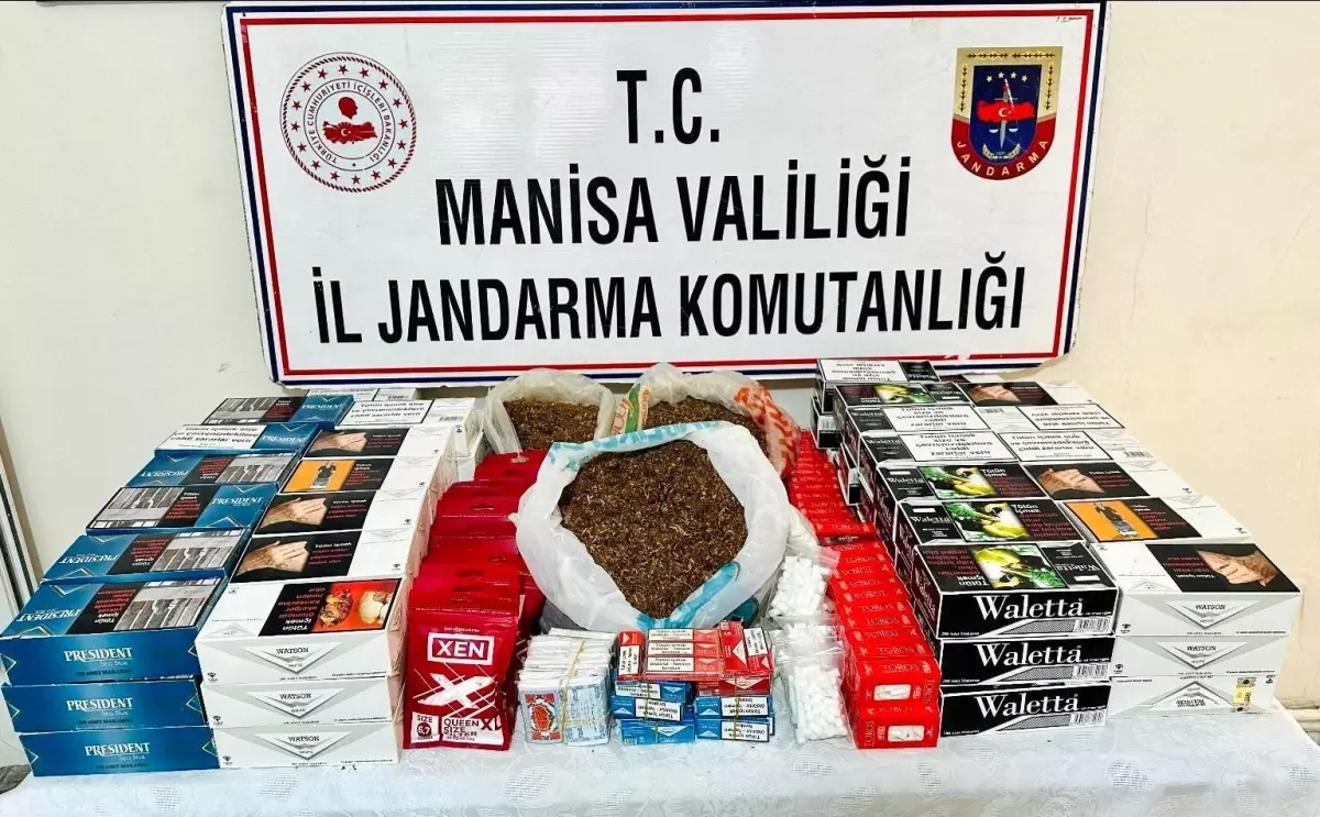 Manisa’da Jandarma Operasyonu: 42 Bin Makaron Ele Geçirildi