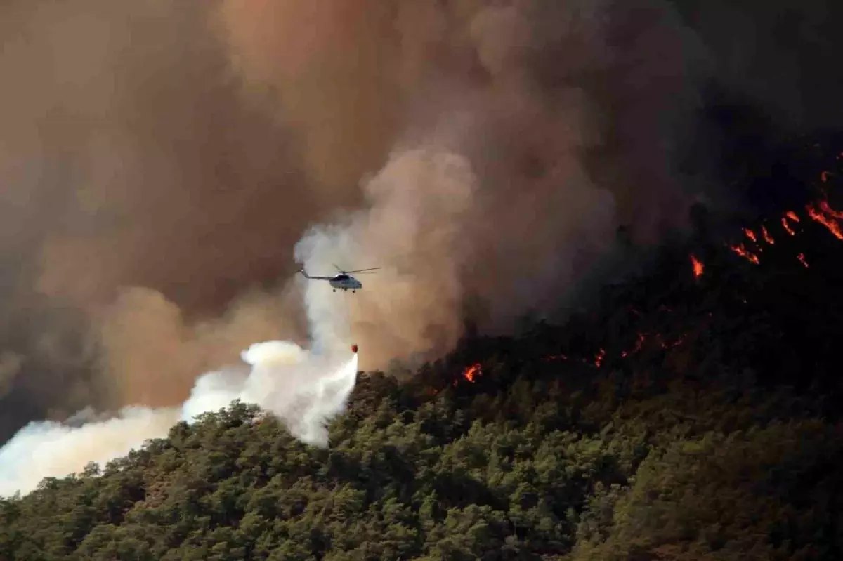 Muğla’da Orman Yangınları ve Güvenlik Önlemleri