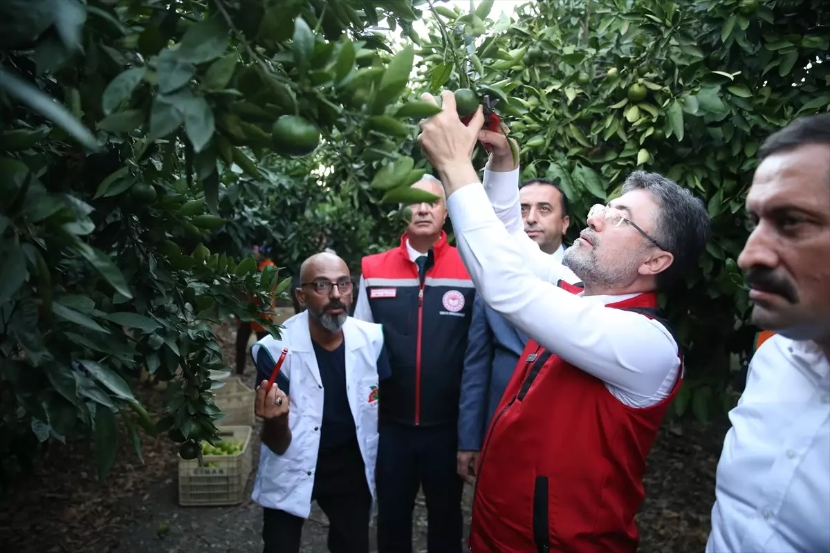 Yumaklı: Hatay’a Tarımsal Yatırımlar Geliyor