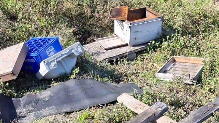 Zonguldak’ta Ayı Dehşeti: “Kovanları Çilingir Sofrasına Çevirdiler”