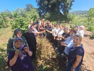 “Gelenekten Geleceğe Salep” Projesiyle Kadın Emeği Toprakta Değere Dönüşecek