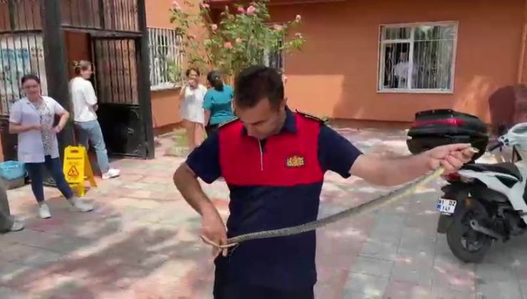 Sağlık ocağına giren yılan korku dolu anlar yaşattı