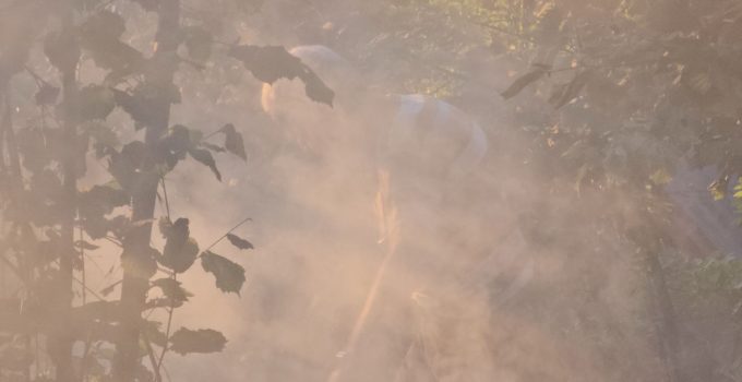 Bahçelievler Mahallesi’nde ormanlık alanda yangın
