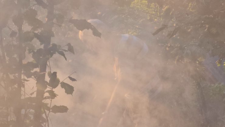 Bahçelievler Mahallesi’nde ormanlık alanda yangın