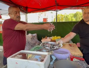 Tezgahlar palamutla şenlendi: 100 liradan satılıyor