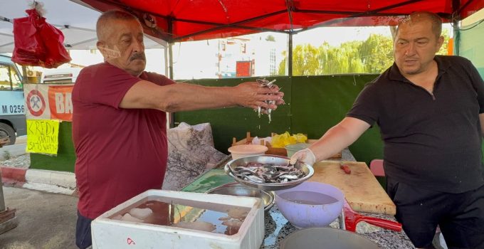 Tezgahlar palamutla şenlendi: 100 liradan satılıyor