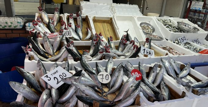 Karadeniz’den ağ dolusu palamut geldi, fiyatlar yarı yarıya düştü: Kapış kapış gidiyor!