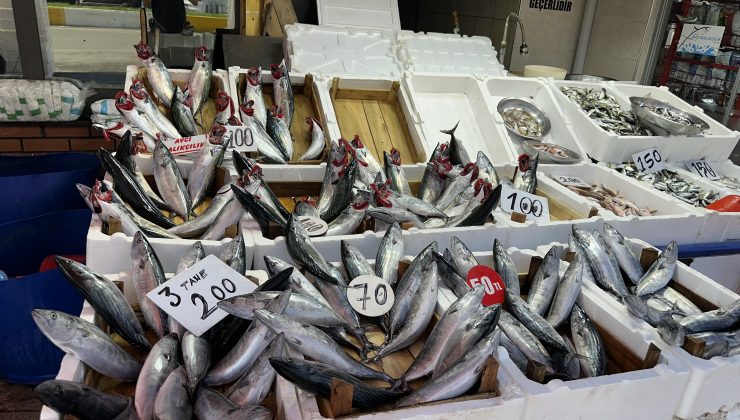 Karadeniz’den ağ dolusu palamut geldi, fiyatlar yarı yarıya düştü: Kapış kapış gidiyor!