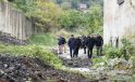 Zonguldak’ta istinat duvarı çöktü: Vali bölgede inceleme yaptı