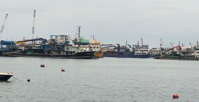 Trol Balıkçı gemileri kötü hava nedeniyle Ereğli Limanı’na sığındı