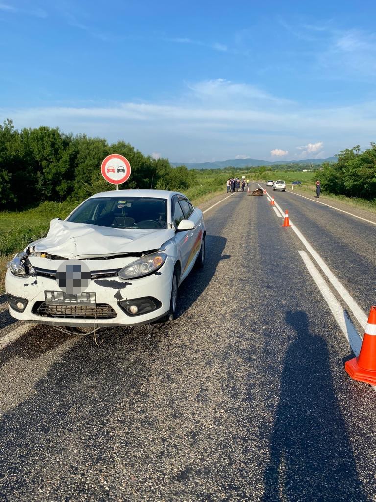 Aniden otomobilin önüne çıkan inek telef oldu