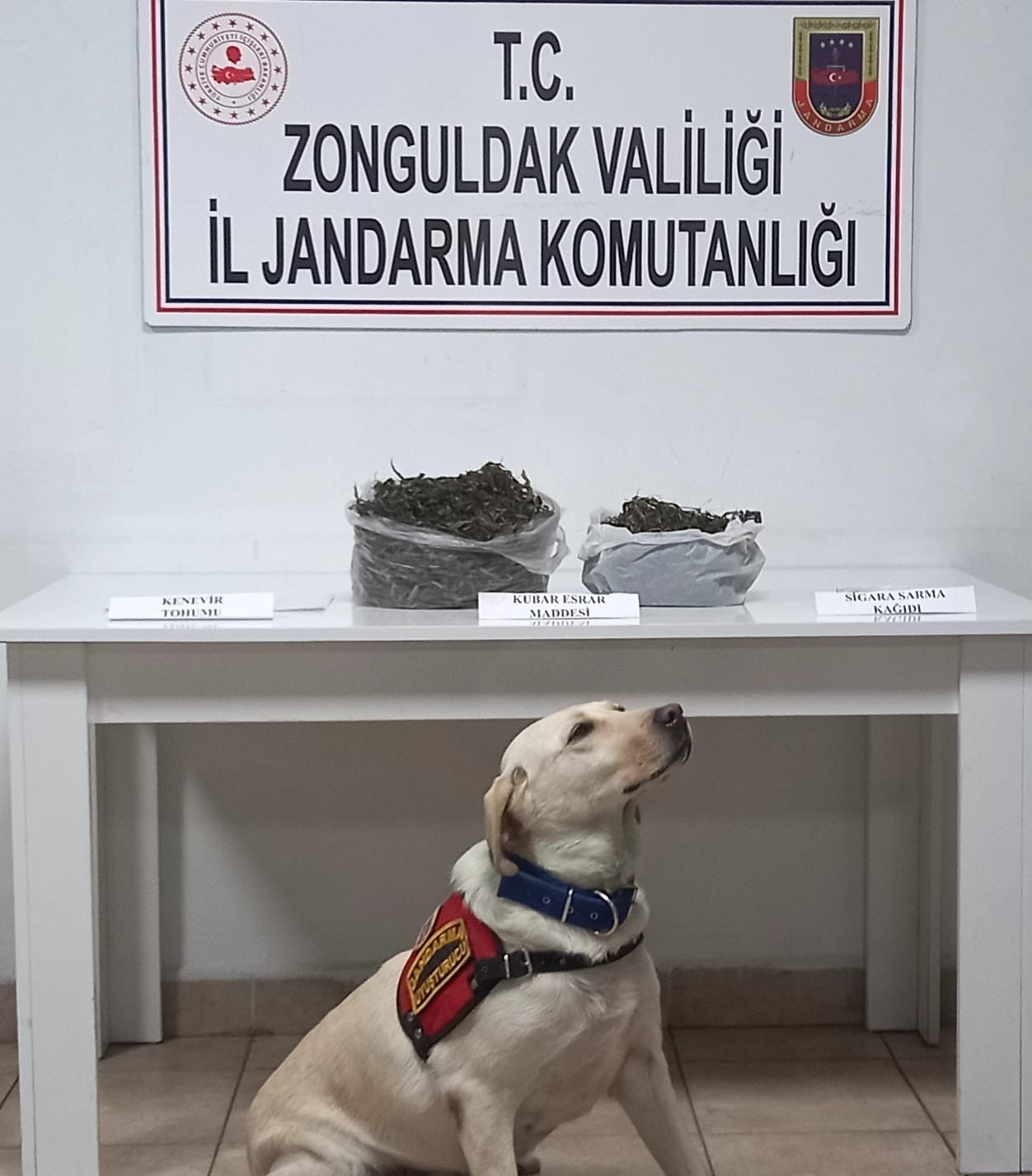 Jandarma göz açtırmadı, uyuşturucu tacirleri yakalandı