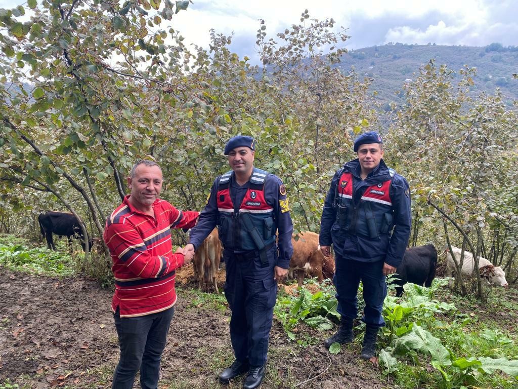 Kayıp hayvanlar bulunarak sahibine teslim edildi