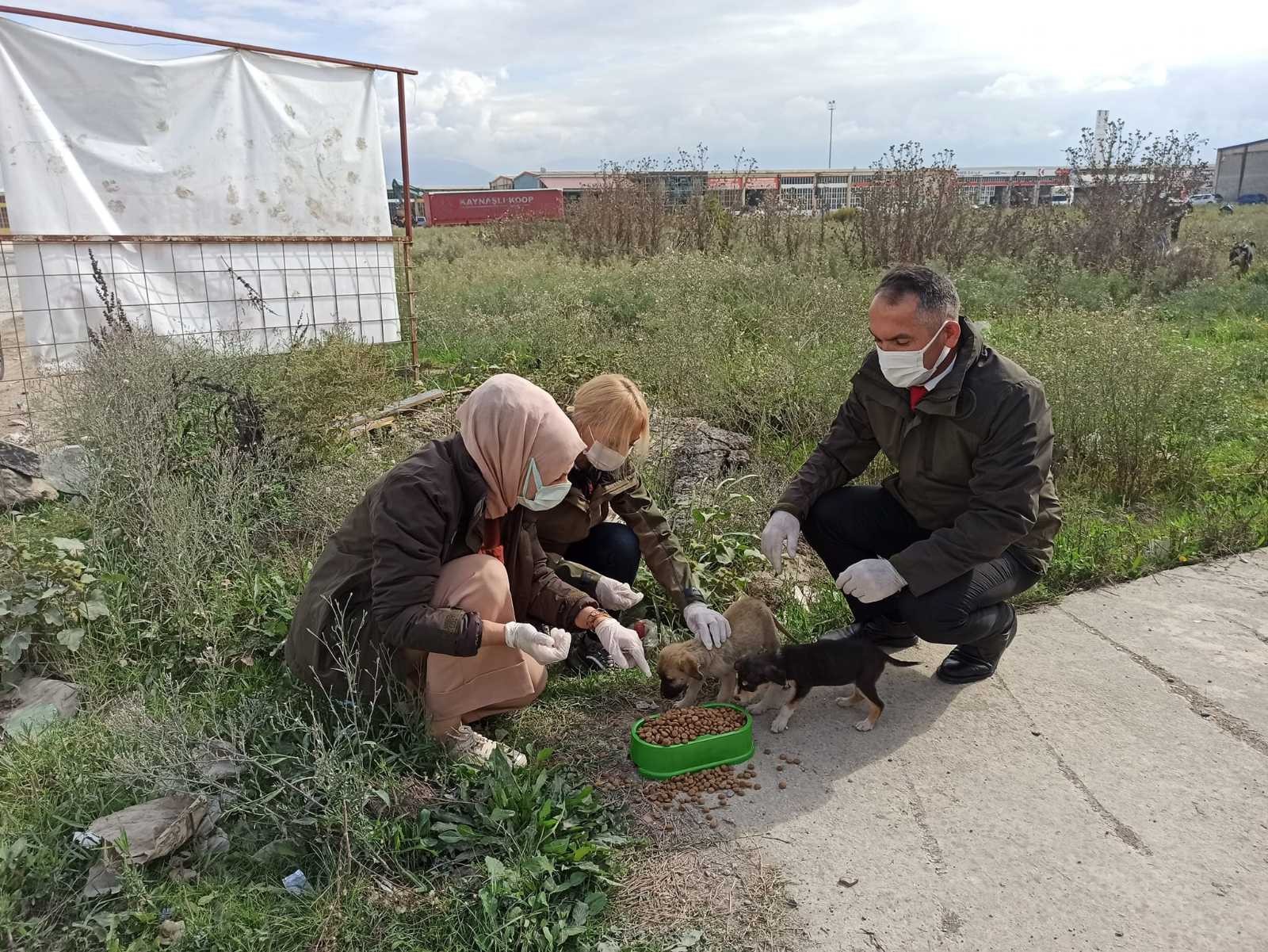 Sokak hayvanlarına mama bırakıldı